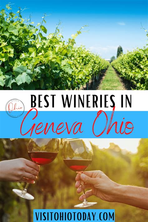 Geneva winery - In Geneva, there are winery shuttle bus tours, and then there is The Lodge at Geneva-on-the-Lake’s Signature Immersion Tour. Immersion tour guide Lauren Fiala, knows about each aspect of the wine industry , from grape growing, to production to selling and drinking. 
